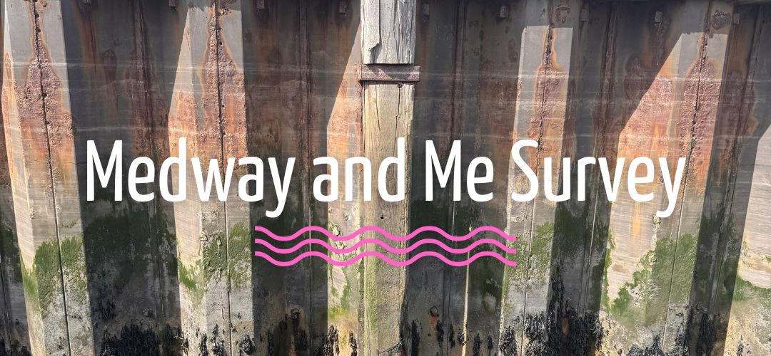 Medway and Me Survey