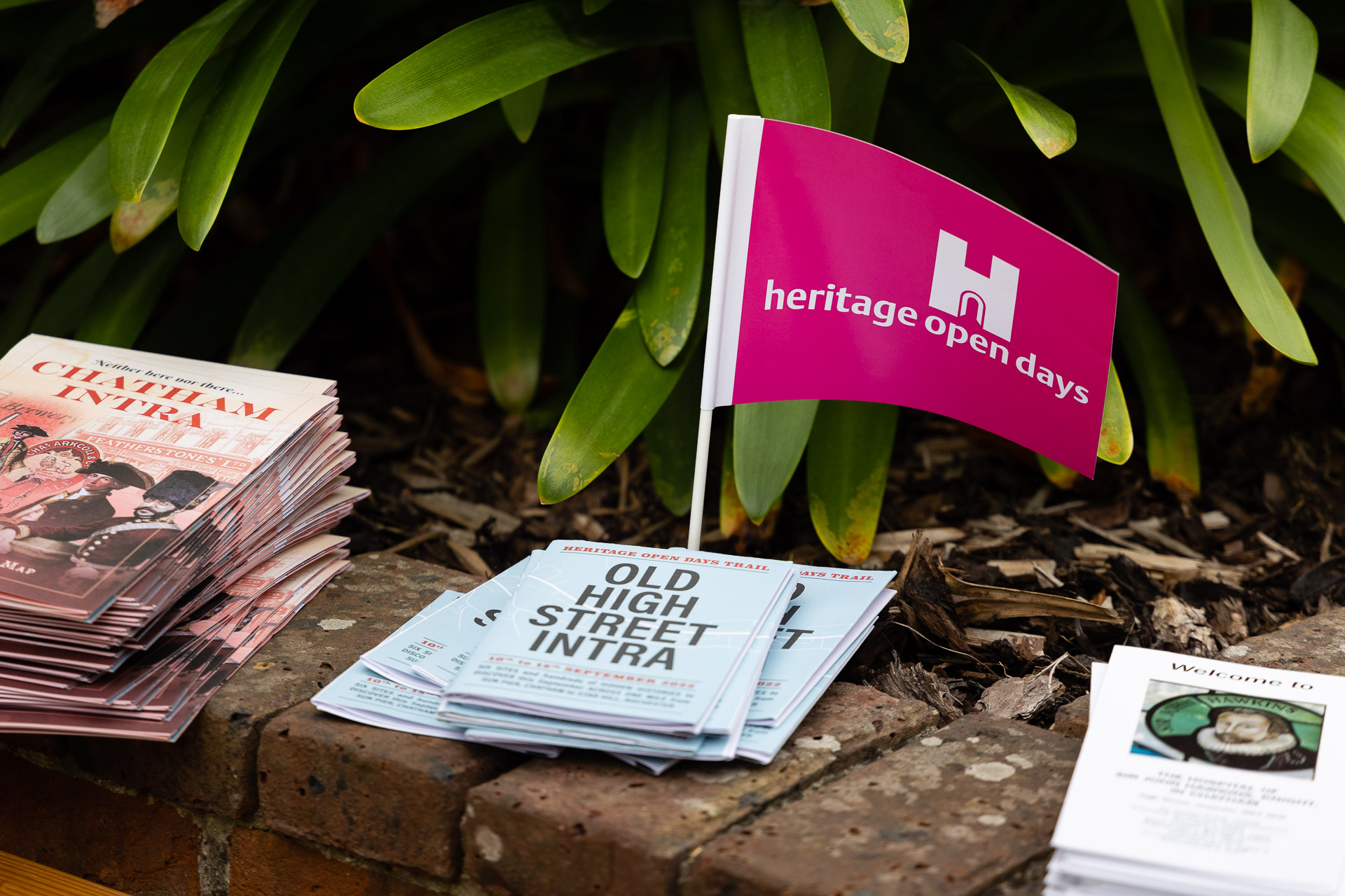 HOD-20220910-WEB-41-8214